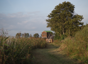 Hide at Catcott Nature Reserve
