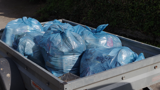 Catcott clean-up 2016