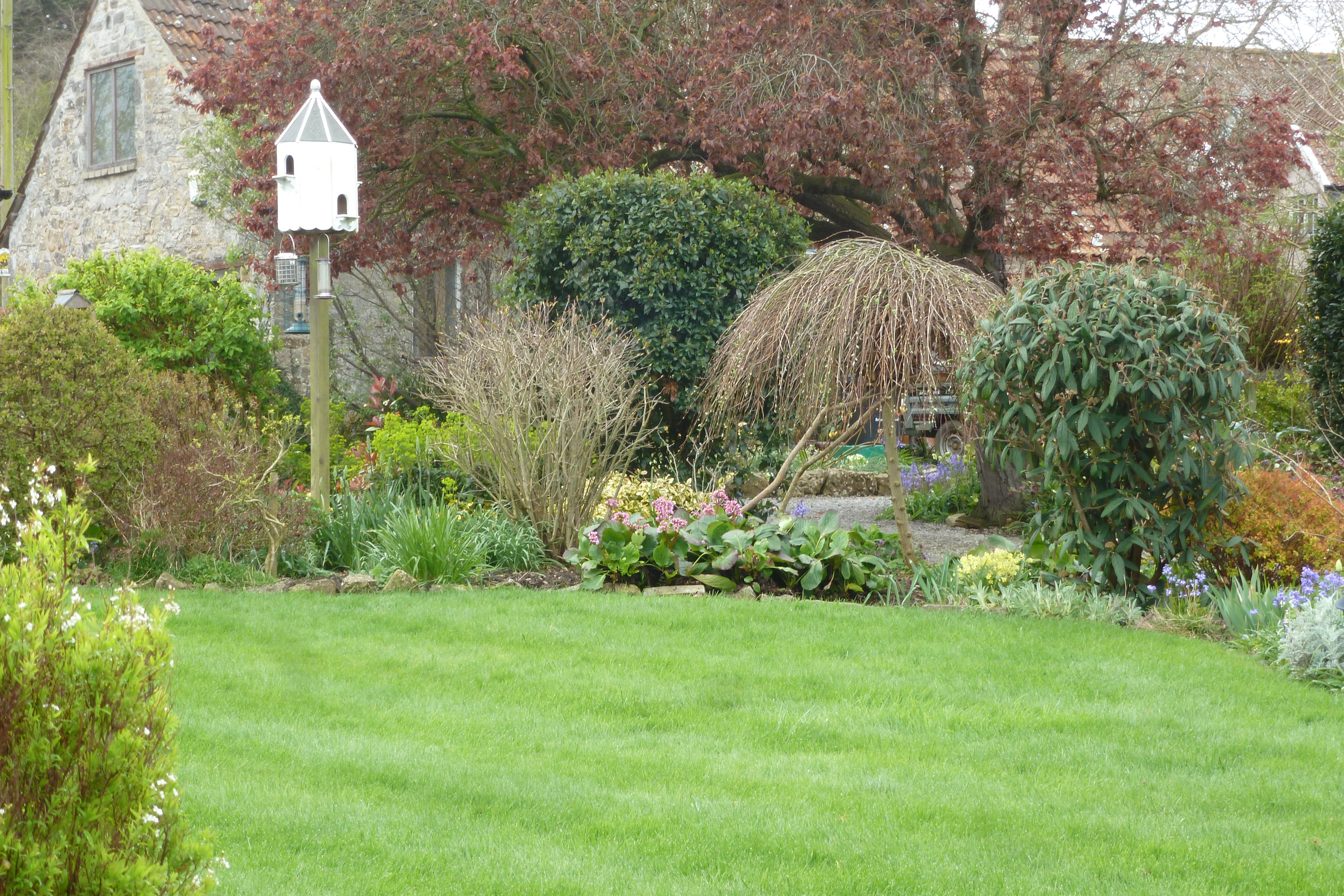 Catcott spring gardens winner 2016