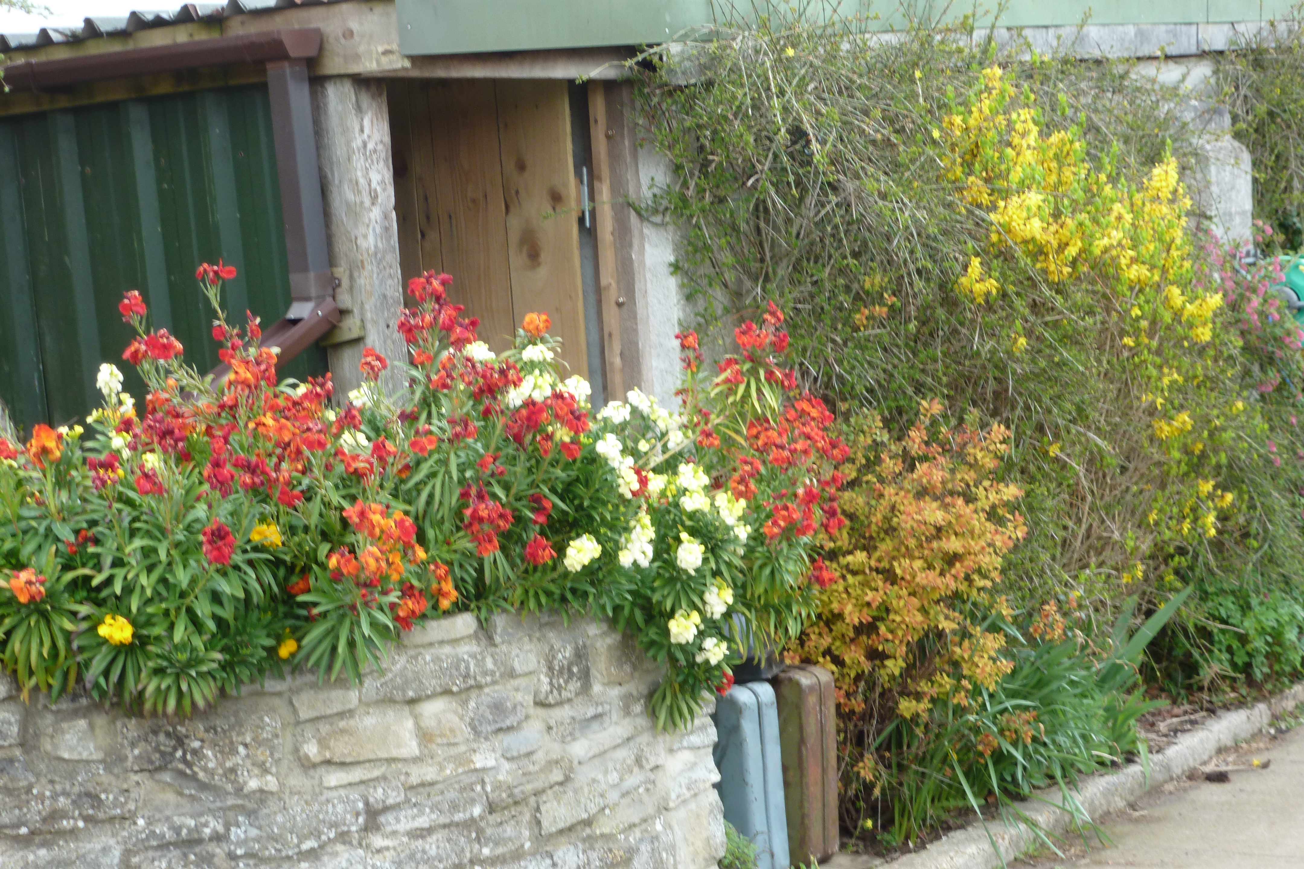 Spring Cup 3rd place for Gerry and Lily Wheeler