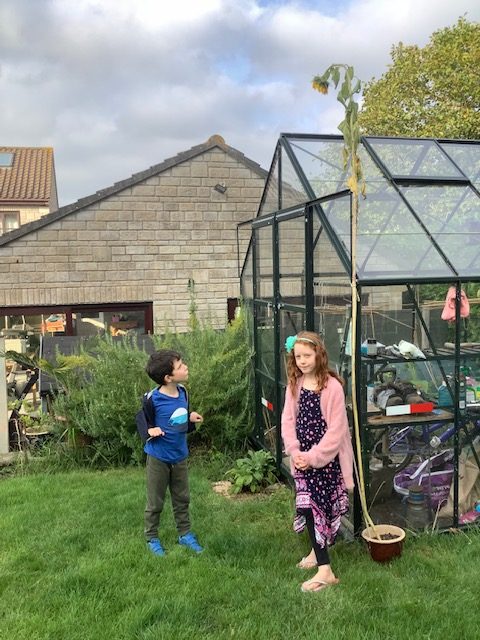 Lottie and Ben Chad and their 3rd Place Sunflower