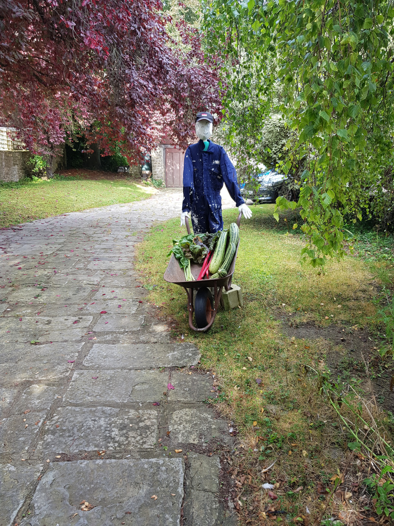 Scarecrow in overalls pushing a barrow of veg
