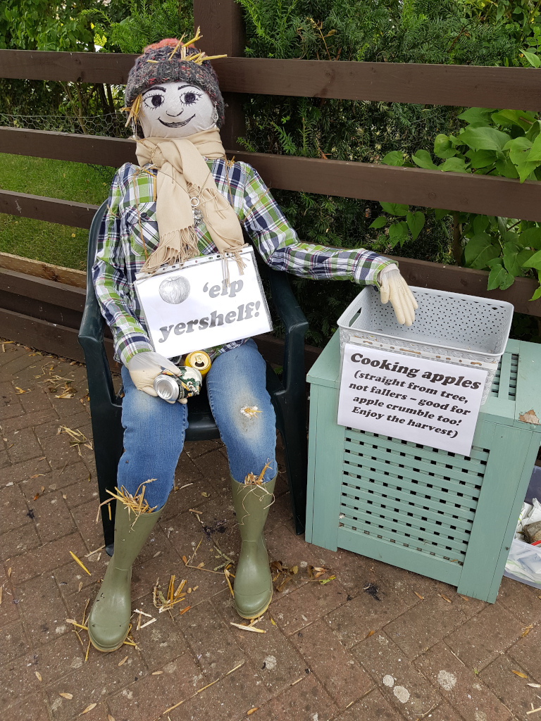Scarecrow offering free apples