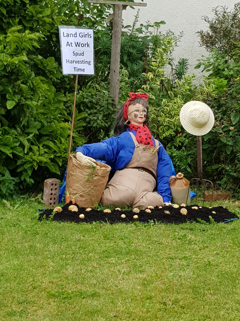 scarecrow of a land girl picking potatoes