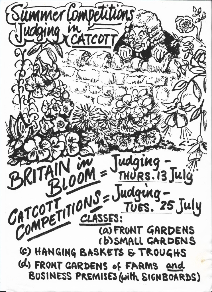 poster for summer judging